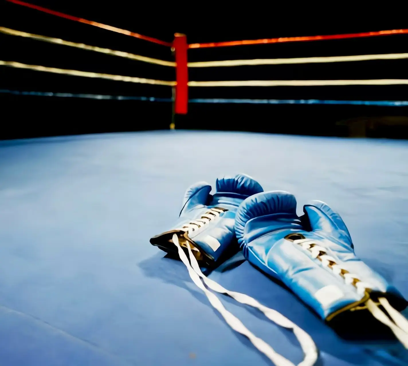 表示, 迄今共诞生 表示, 迄今共诞生